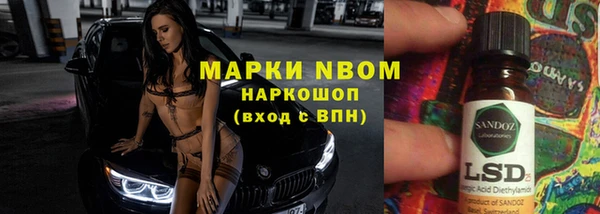 прущие грибы Баксан