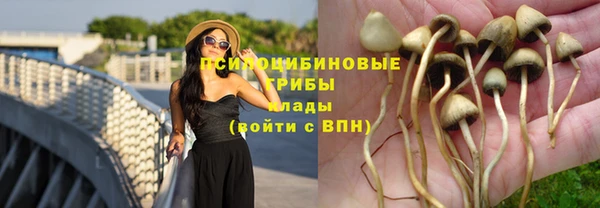 ГАЛЛЮЦИНОГЕННЫЕ ГРИБЫ Наволоки