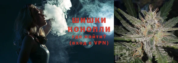 дмт Белокуриха