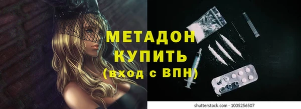 шишки Беломорск