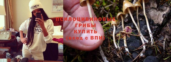 хмурый Надым