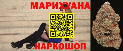 Альфа ПВП Бийск