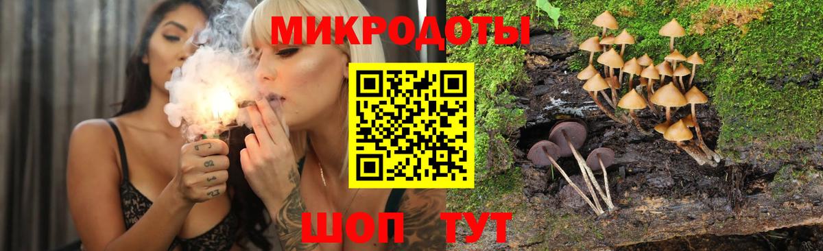 Галлюциногенные грибы Psilocybe  Елизово  Псилоцибиновые грибы мицелий 