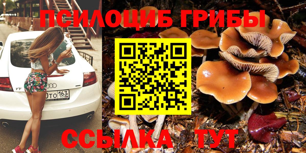 Галлюциногенные грибы прущие грибы  Псилоцибиновые грибы Psilocybine cubensis  Елизово  Вход с VPN 