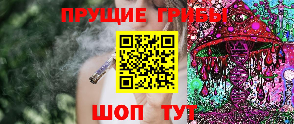 Псилоцибиновые грибы Magic Shrooms Елизово