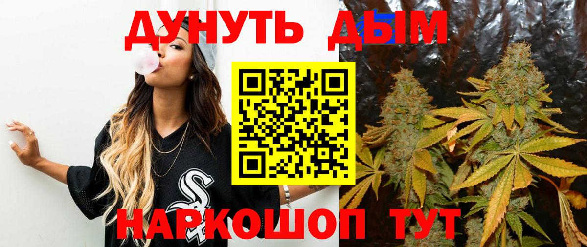 Марихуана план  МАРИХУАНА Ganja  Марихуана сатива  Марихуана тримм  Елизово 
